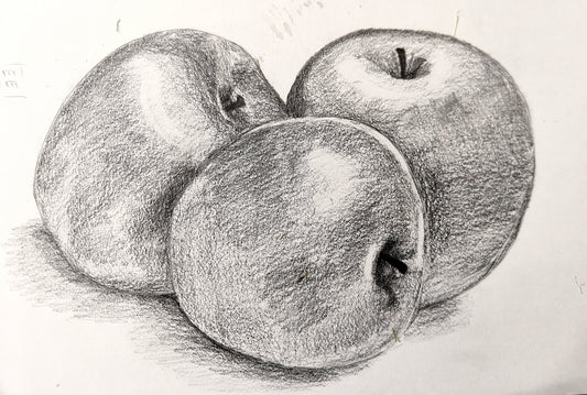 Apples- Hand sketch